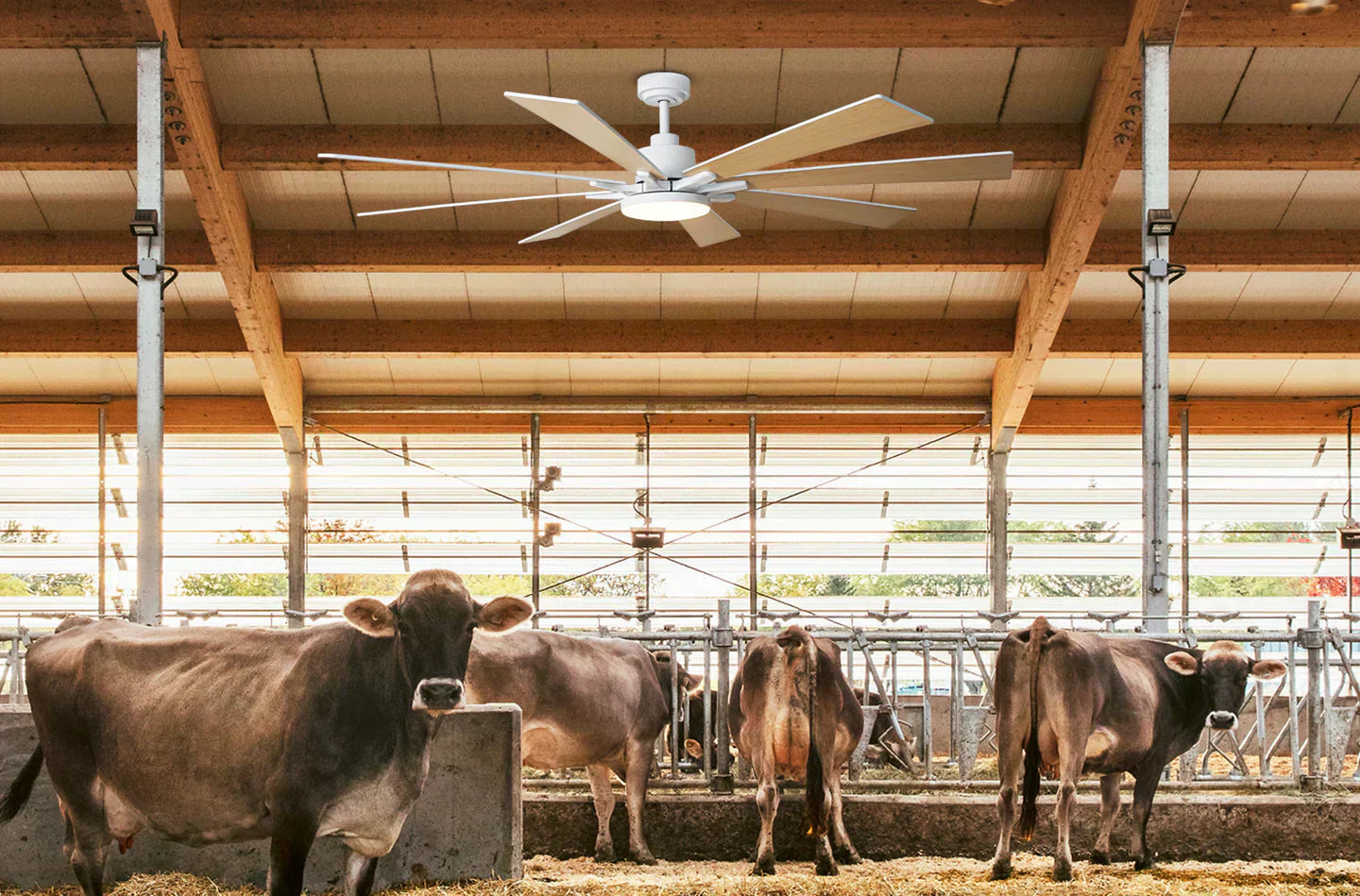 How Airflow Impacts Animal Health More Than You Think
