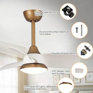 28" Modern DC Motor Downrod Mount Reversible Ceiling Fan with LED Lighting and Remote Control - ParrotUncle