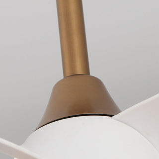 28" Modern DC Motor Downrod Mount Reversible Ceiling Fan with LED Lighting and Remote Control - ParrotUncle