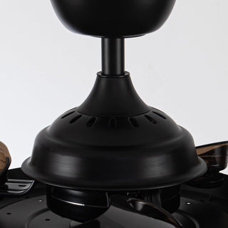 36" Farmhouse Downrod Mount Ceiling Fan with Lighting and Remote Control - ParrotUncle