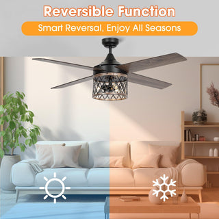 52" Mirelle Farmhouse Downrod Mount Reversible Ceiling Fan with Lighting and Remote Control