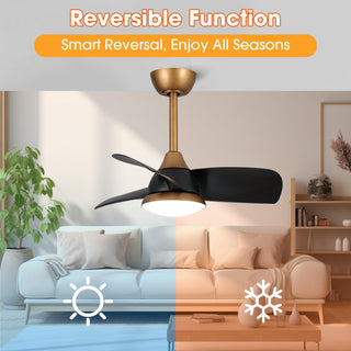 28" Modern Black DC Motor Downrod Mount Reversible Ceiling Fan with LED Lighting and Remote Control