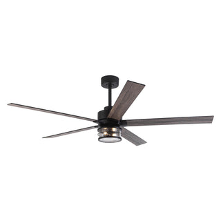 65" Modern DC Motor Downrod Mount Reversible Ceiling Fan with Lighting and Remote Control - ParrotUncle