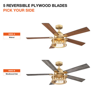 52" Lucknow Industrial Golden Reversible Ceiling Fan with Lighting and Remote Control