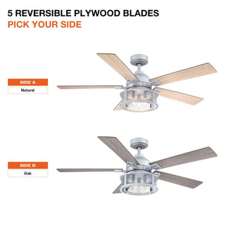 52" Lucknow Industrial Silver Reversible Ceiling Fan with Lighting and Remote Control