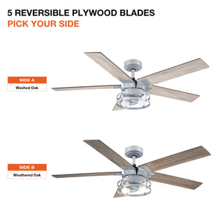 52" Prayag Industrial Silver Downrod Mount Reversible Ceiling Fan with Lighting and Remote Control