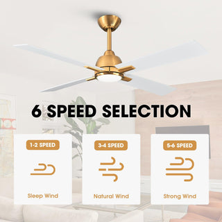 48" Linden DC Motor Downrod Mount Reversible Ceiling Fan with Lighting and Remote Control