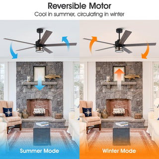 65" Downrod Mount Modern Reversible Ceiling Fan with Lighting and Remote Control