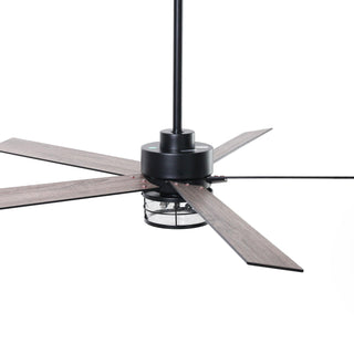 65" Downrod Mount Modern Reversible Ceiling Fan with Lighting and Remote Control