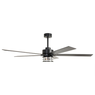 65" Downrod Mount Modern Reversible Ceiling Fan with Lighting and Remote Control