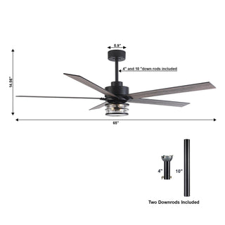 65" Downrod Mount Modern Reversible Ceiling Fan with Lighting and Remote Control