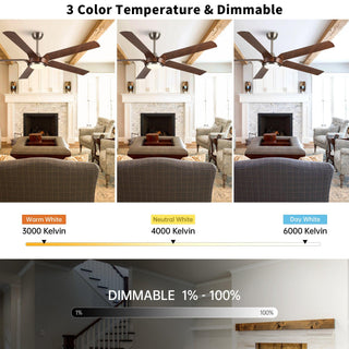 65" Fury Farmhouse DC Motor Downrod Mount Ceiling Fan with Lighting and Remote Control