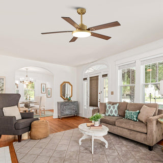 Vaczon 52 Inch Double-sided Blades Downrod Mount Modern Ceiling Fan with Remote Control and LED Light