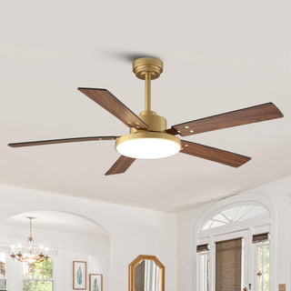 Vaczon 52 Inch Double-sided Blades Downrod Mount Modern Ceiling Fan with Remote Control and LED Light