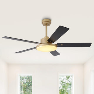 Vaczon 52 Inch Double-sided Blades Downrod Mount Modern Ceiling Fan with Remote Control and LED Light