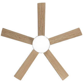 Vaczon 48" 5 Blades Industrial Modern Style DC Motor Ceiling Fan with LED Lighting and Remote Control