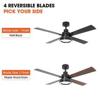 Vaczon 52 Inch 4 Blades DC Motor Modern Downrod Ceiling Fan with LED Light and Remote Control