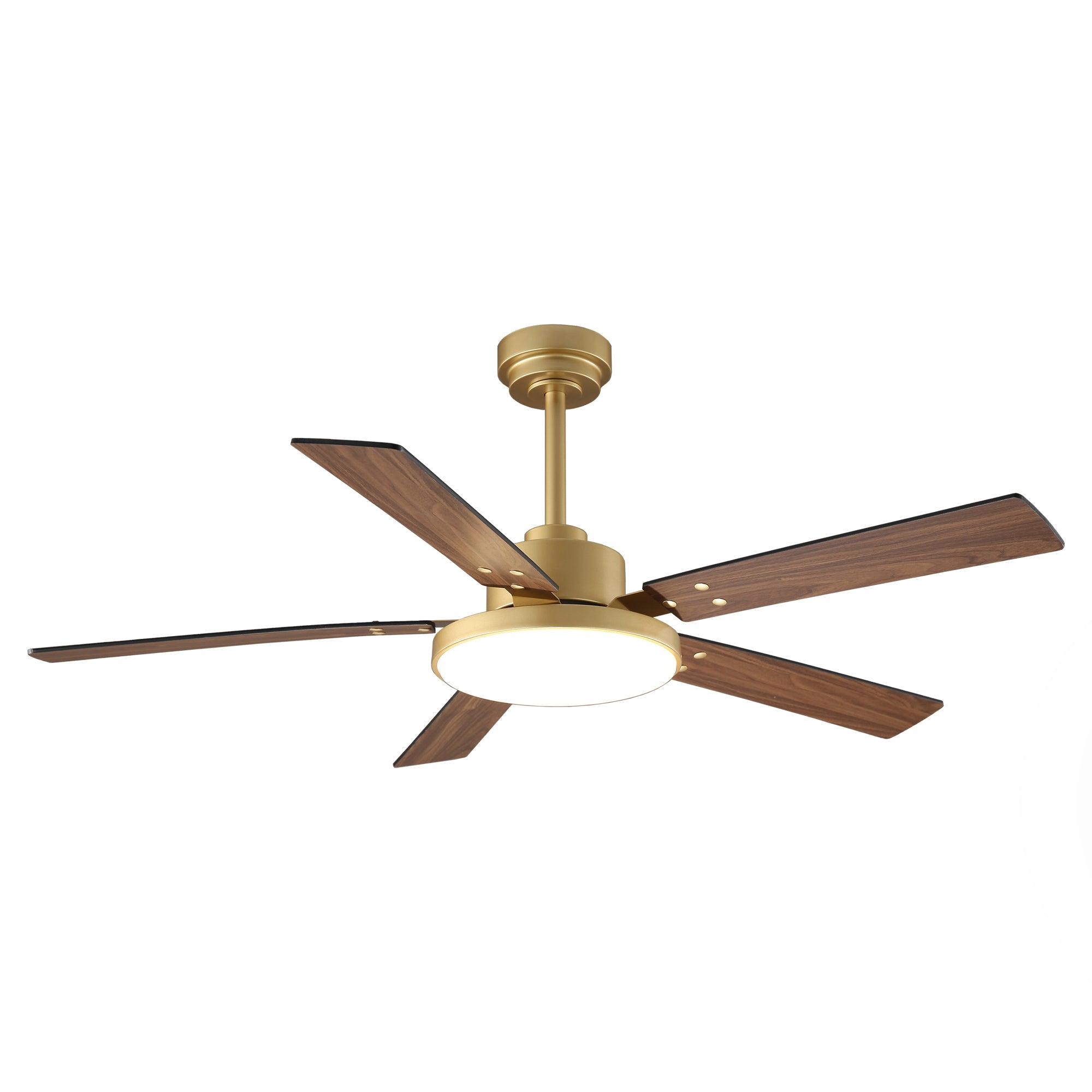 Modern Ceiling Fans
