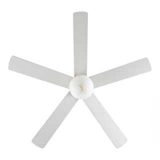 52 Inch Fanny Double-sided Blades Flush Mount LED Ceiling Fan with Remote Control