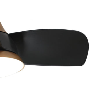 28" Modern Black DC Motor Downrod Mount Reversible Ceiling Fan with LED Lighting and Remote Control - Vaczon