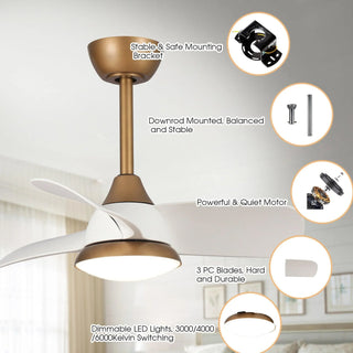 28" Modern White DC Motor Downrod Mount Reversible Ceiling Fan with LED Lighting and Remote Control - Vaczon