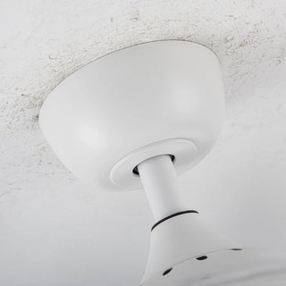 36" Bangaiore Modern Downrod Mount Crystal Ceiling Fan with Lighting - Vaczon