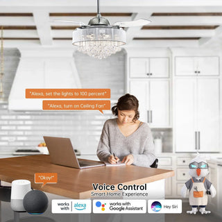 42" Broxburne Smart Fan with LED Light - Vaczon