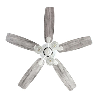 52" Traditional Flush Mount Reversible Ceiling Fan with Lighting and Remote Control - Vaczon