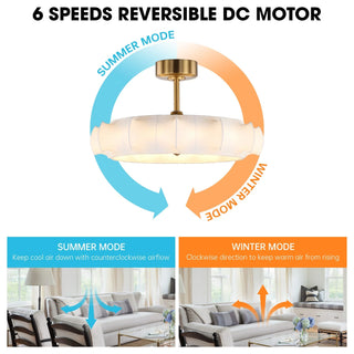 Vaczon 30 Inch Electroplated Golden Downrod Mount Luxury Fandelier with Light - Vaczon