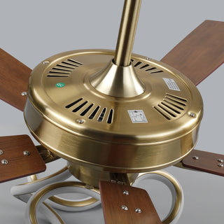 Vaczon 52" Boyd Antique-bronze Golden Downrod Mount RGB LED Smart Fan