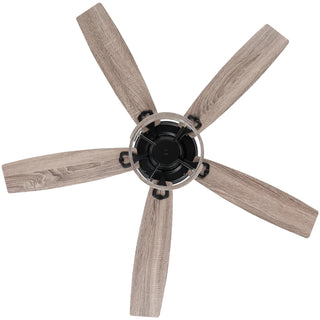 Vaczon 52" Rita Double-sided Blades Downrod Mount LED Ceiling Fan with Remote Control
