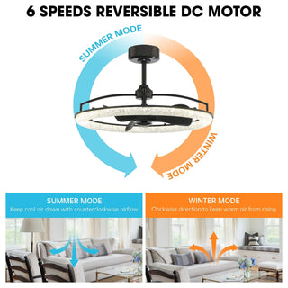 Vaczon 32 Inch Black Downrod Mount Luxury Fandelier with Light - Vaczon