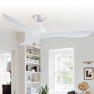 56" Modern DC Motor Downrod Mount Reversible Ceiling Fan with Remote Control - Vaczon