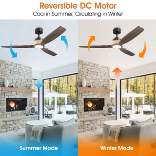 56" Louise Downrod Mount LED Wood Blades Ceiling Fan with Remote Control