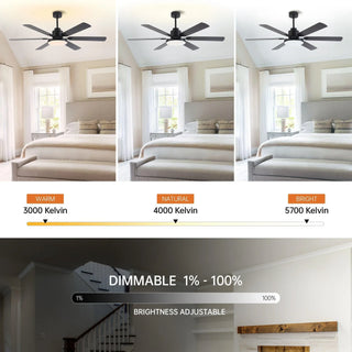 60" Industrial DC Motor Downrod Mount Reversible Ceiling Fan with Lighting and Remote Control - Vaczon