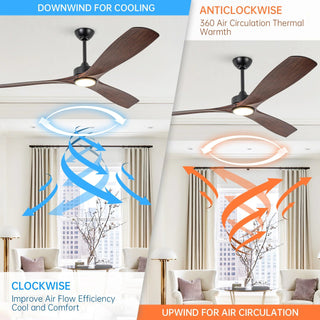 60" Alexi DC Motor Modern Downrod Ceiling Fan with LED Light