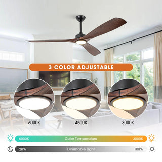 60" Alexi DC Motor Modern Downrod Ceiling Fan with LED Light