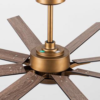 65" Balachandran Industrial Downrod Mount Ceiling Fan with LED Lighting and Remote Control - ParrotUncle