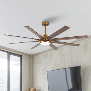 65" Balachandran Industrial Downrod Mount Ceiling Fan with LED Lighting and Remote Control - ParrotUncle