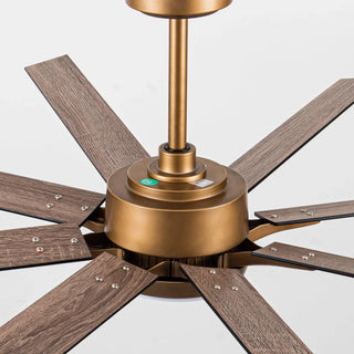 65" Balachandran Industrial DC Motor Downrod Mount Ceiling Fan with LED Lighting and Remote Control - Vaczon