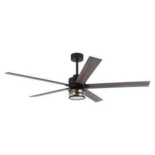 65" Downrod Mount Modern Reversible Ceiling Fan with Lighting and Remote Control - Vaczon
