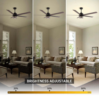 65" Downrod Mount Modern Reversible Ceiling Fan with Lighting and Remote Control - Vaczon