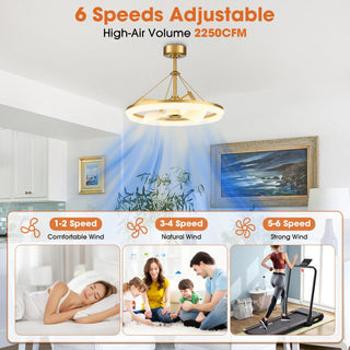 30 Inch Mona Golden Downrod Mount Fandelier with Remote Control - Vaczon