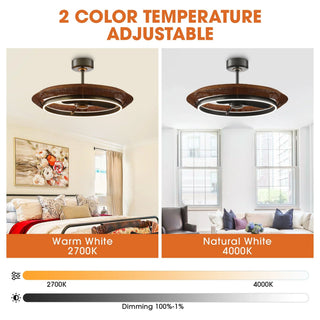 33 Inch Elijah Black-Charcoal Gray Luxury Fandelier with Light - Vaczon