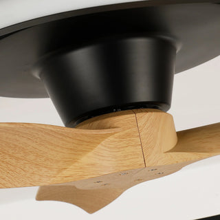 31" Ocean Flush Mount LED Ceiling Fan with Remote Control