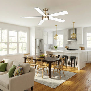 60" Adair Double-sided Blades Downrod Mount LED Ceiling Fan