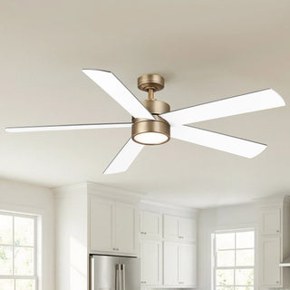 60" Adair Double-sided Blades Downrod Mount LED Ceiling Fan