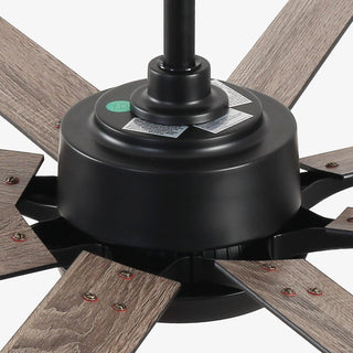 65 Inch Teresa Modern Double-sided Blades Ceiling Fan with Remote Control and LED Light
