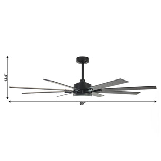 65 Inch Teresa Modern Double-sided Blades Ceiling Fan with Remote Control and LED Light