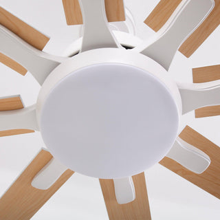 65 Inch Teresa Modern Double-sided Blades Ceiling Fan with Remote Control and LED Light